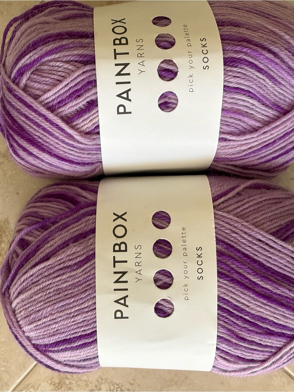 PAINTBOX Yarns Variegated Purple Sock Yarn - 2 Skeins - Zebra-Violette